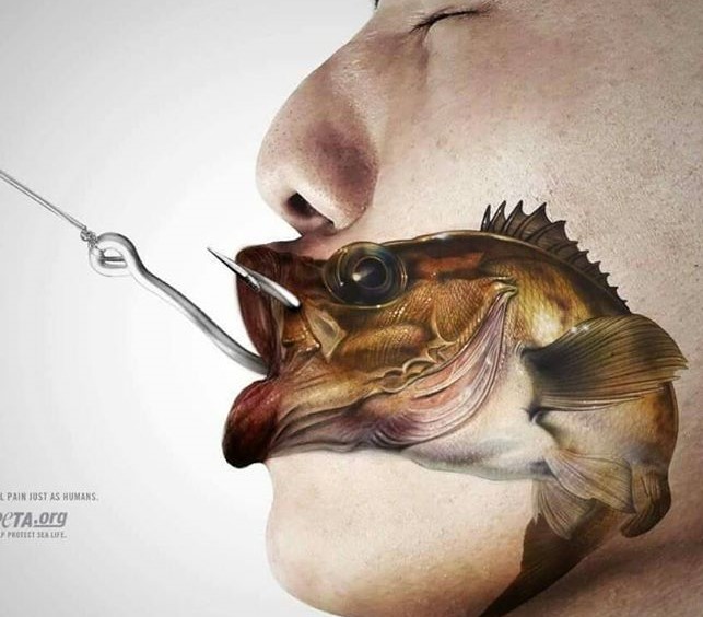 pesca sin muerte veganism.es